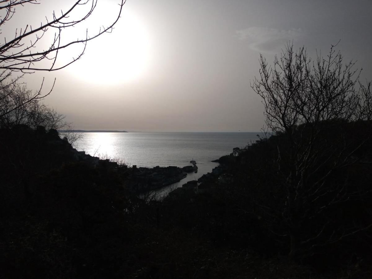 West Looe Downs 아파트 외부 사진